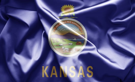 Public records, Excel spreadsheets, and textualism: Kansas Supreme Court affirms the separation of powers